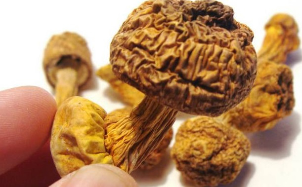 1516699415513584.jpg 923a0e3a99ca4290abb83b0290a6ec35.jpg