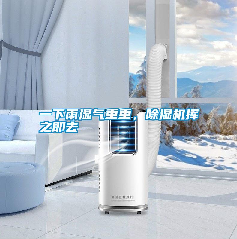 一下雨濕氣重重,除濕機揮之即去