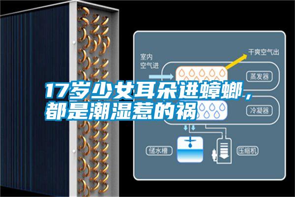 17歲少女耳朵進蟑螂,都是潮濕惹的禍