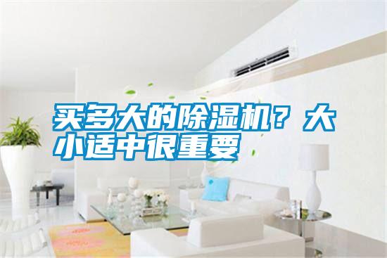 買多大的除濕機？大小適中很重要