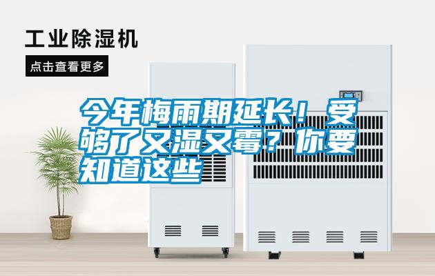 今年梅雨期延長！受夠了又濕又霉？你要知道這些