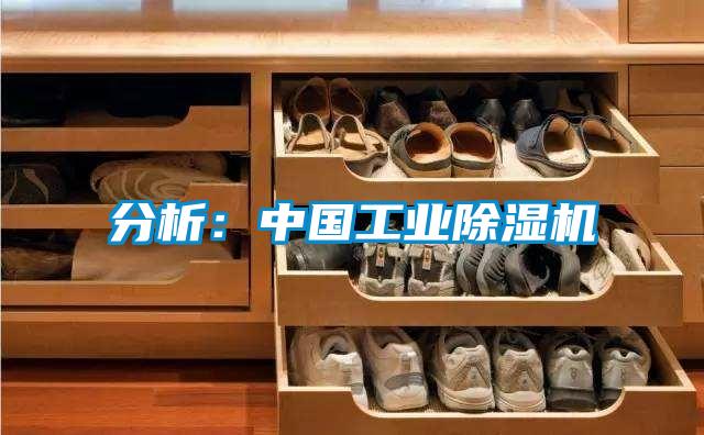 分析:中國工業(yè)除濕機(jī)