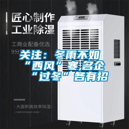 關(guān)注:冬雨不如“西風(fēng)”寒,名企“過(guò)冬”各有招