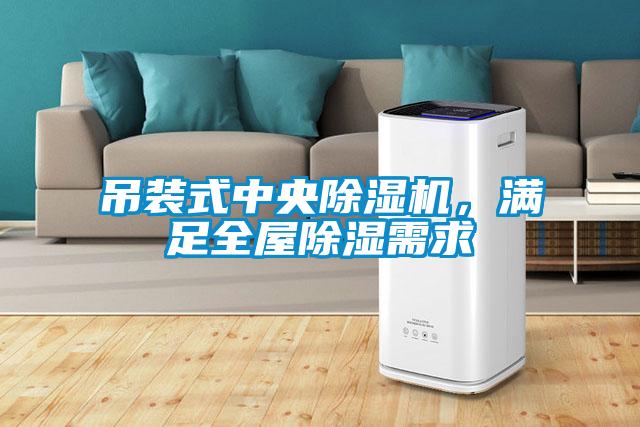 吊裝式中央除濕機(jī)，滿足全屋除濕需求