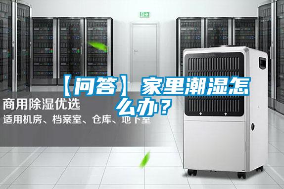 【問答】家里潮濕怎么辦?
