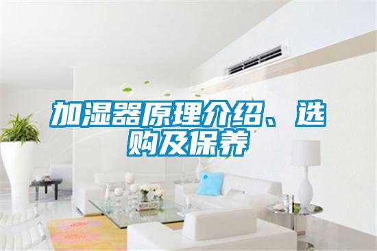 加濕器原理介紹、選購及保養