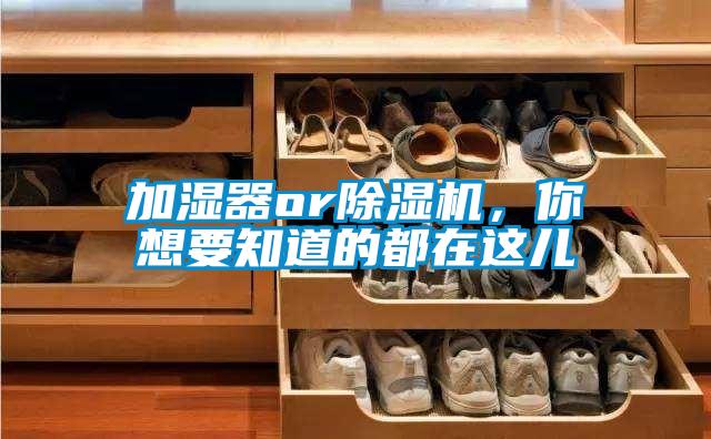 加濕器or除濕機，你想要知道的都在這兒