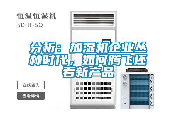 分析：加濕機企業叢林時代，如何騰飛還看新產品