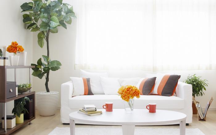 制茶設(shè)備進入新紀(jì)元