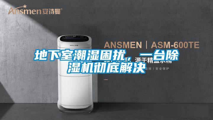 地下室潮濕困擾,一臺除濕機徹底解決