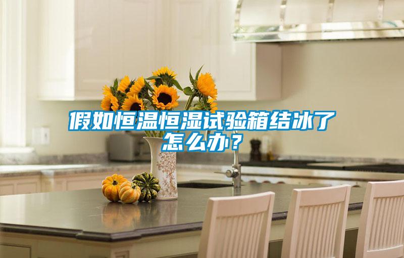 假如恒溫恒濕試驗(yàn)箱結(jié)冰了怎么辦?