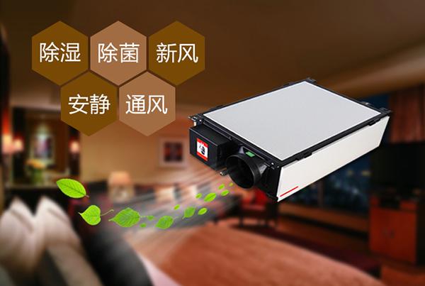 制作花紙的車間倉庫，用工業(yè)除濕機顯得尤為重要