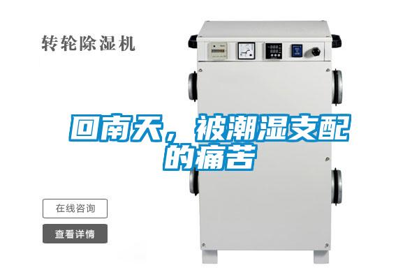 回南天，被潮濕支配的痛苦
