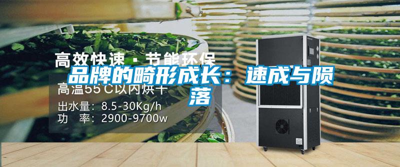 品牌的畸形成長:速成與隕落