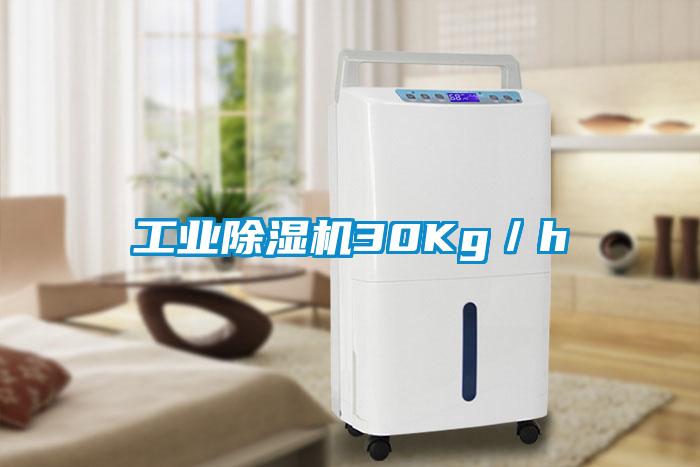 工業(yè)除濕機30Kg/h