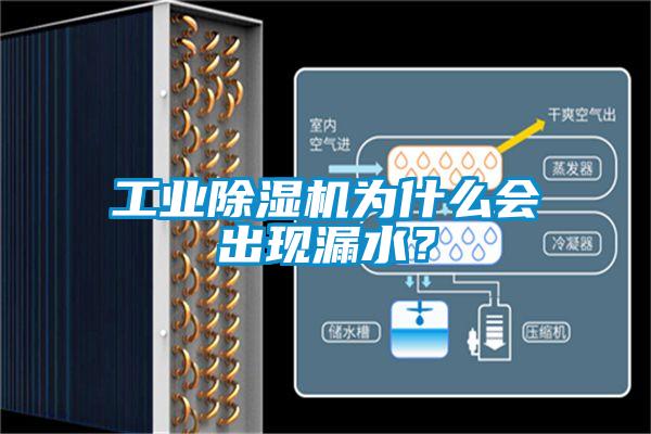 工業(yè)除濕機為什么會出現(xiàn)漏水？