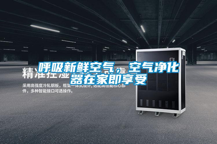 呼吸新鮮空氣，空氣凈化器在家即享受