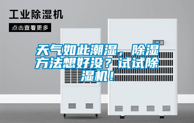 天氣如此潮濕，除濕方法想好沒？試試除濕機！