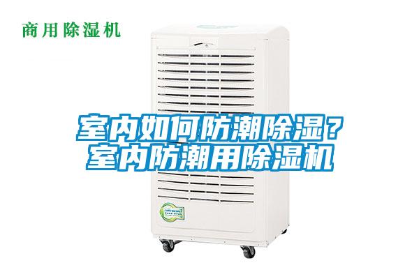 室內如何防潮除濕？室內防潮用除濕機