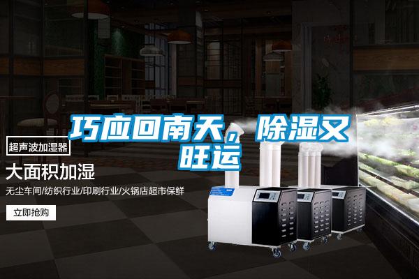 巧應(yīng)回南天,除濕又旺運(yùn)