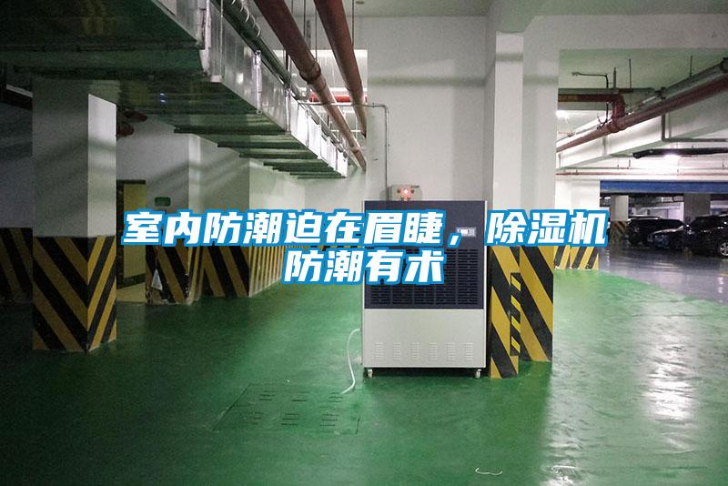 室內防潮迫在眉睫,除濕機防潮有術