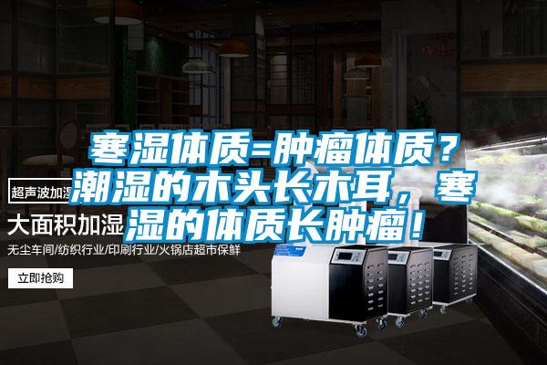 寒濕體質=腫瘤體質？潮濕的木頭長木耳，寒濕的體質長腫瘤！