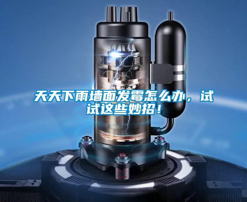 天天下雨墻面發(fā)霉怎么辦，試試這些妙招！