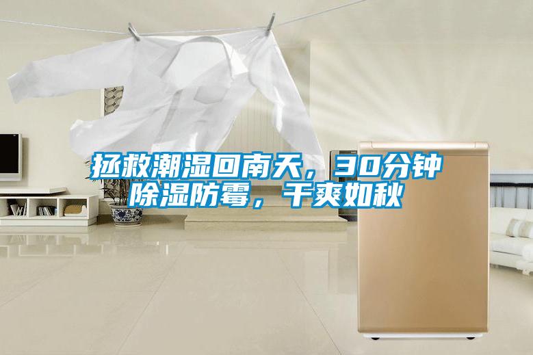 拯救潮濕回南天,30分鐘除濕防霉,干爽如秋