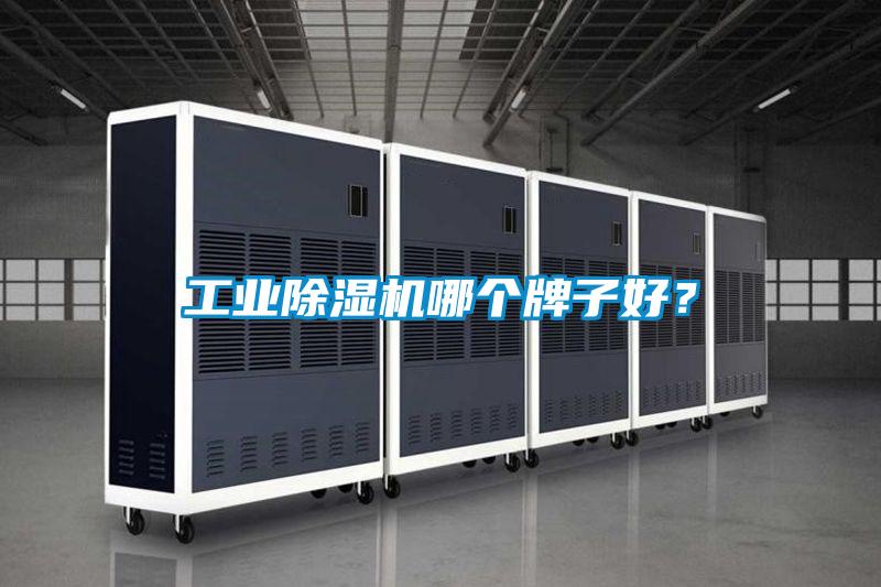 工業(yè)除濕機哪個牌子好?