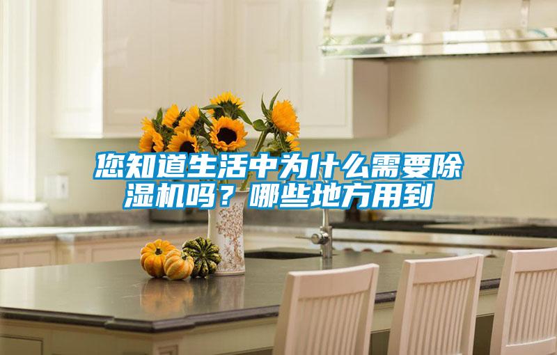 您知道生活中為什么需要除濕機(jī)嗎?哪些地方用到