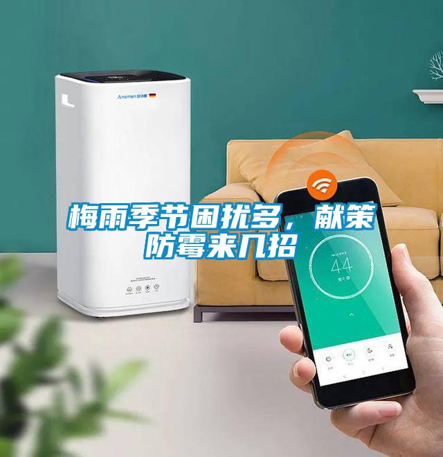 梅雨季節困擾多,獻策防霉來幾招