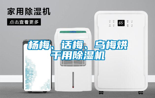楊梅、話梅、烏梅烘干用除濕機