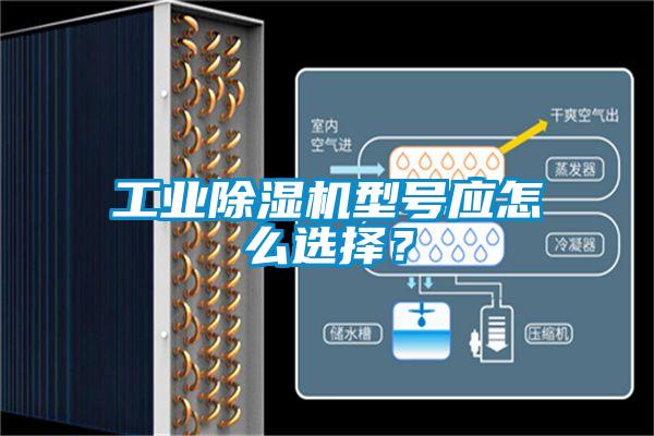 工業除濕機型號應怎么選擇？