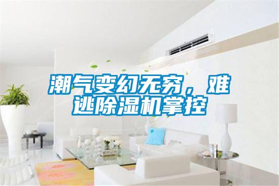 潮氣變幻無窮,難逃除濕機掌控