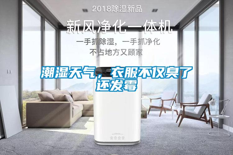 潮濕天氣，衣服不僅臭了還發霉
