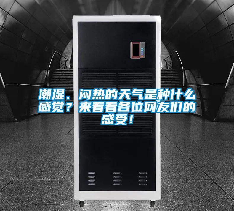 潮濕、悶熱的天氣是種什么感覺?來看看各位網(wǎng)友們的感受!