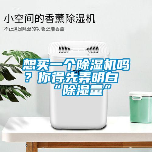 想買一個除濕機嗎？你得先弄明白“除濕量”