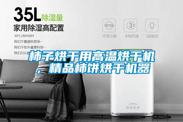 柿子烘干用高溫烘干機(jī),精品柿餅烘干機(jī)器