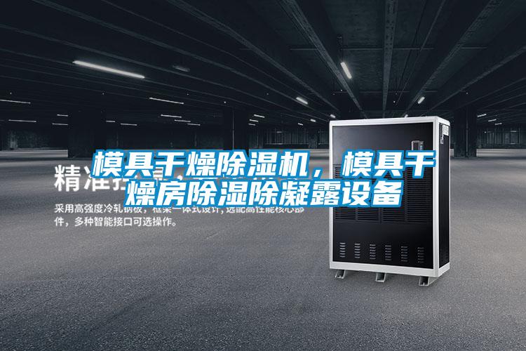 模具干燥除濕機,模具干燥房除濕除凝露設(shè)備