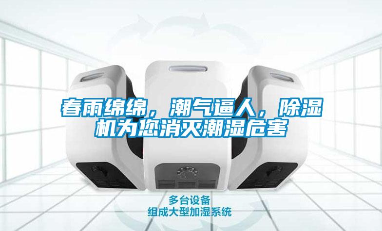 春雨綿綿，潮氣逼人，除濕機為您消滅潮濕危害