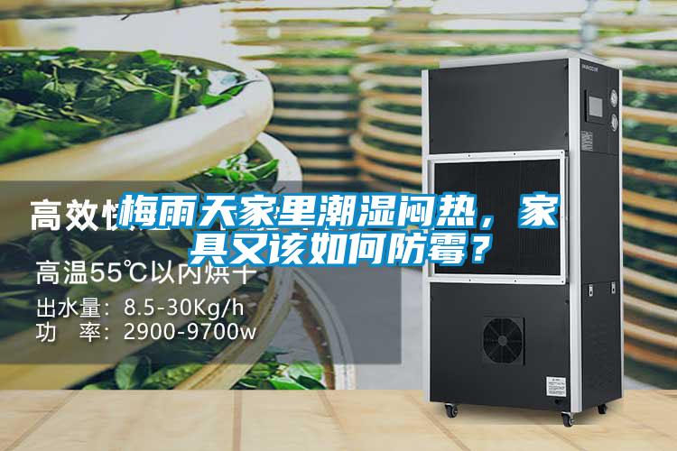 梅雨天家里潮濕悶熱,家具又該如何防霉?