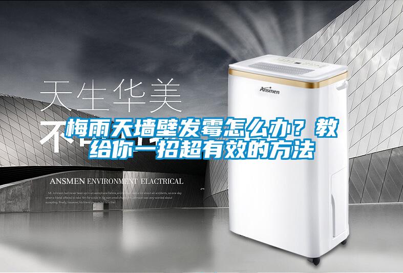 梅雨天墻壁發(fā)霉怎么辦?教給你一招超有效的方法