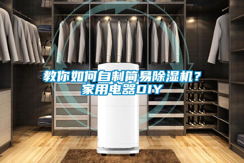 教你如何自制簡易除濕機?家用電器DIY