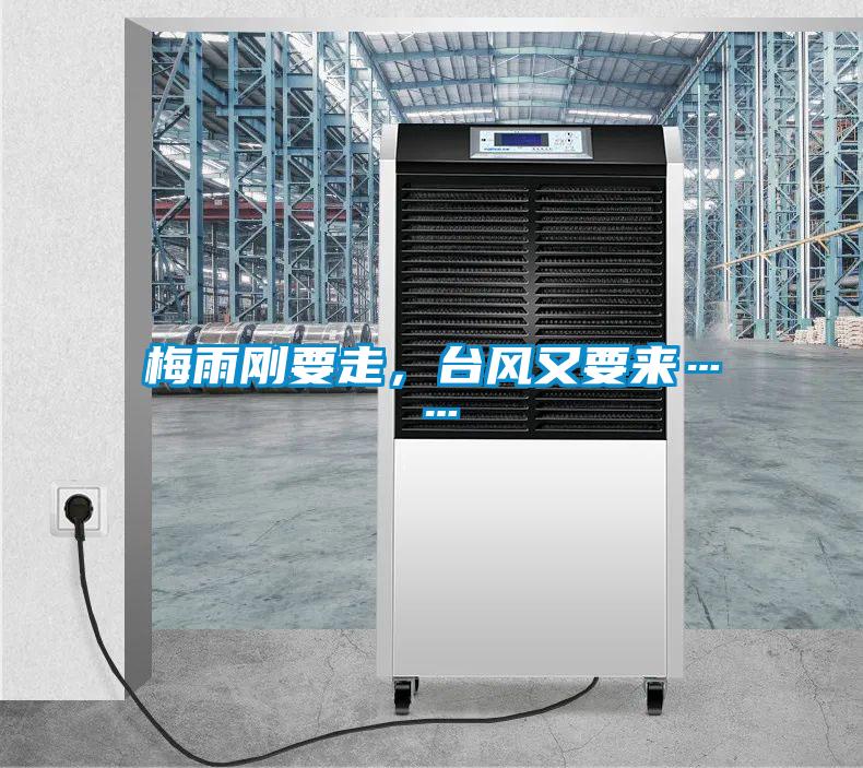 梅雨剛要走，臺風(fēng)又要來……