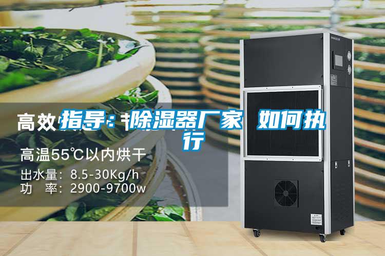 指導:除濕器廠家 如何執行