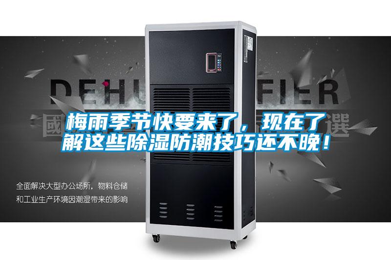 梅雨季節快要來了，現在了解這些除濕防潮技巧還不晚！