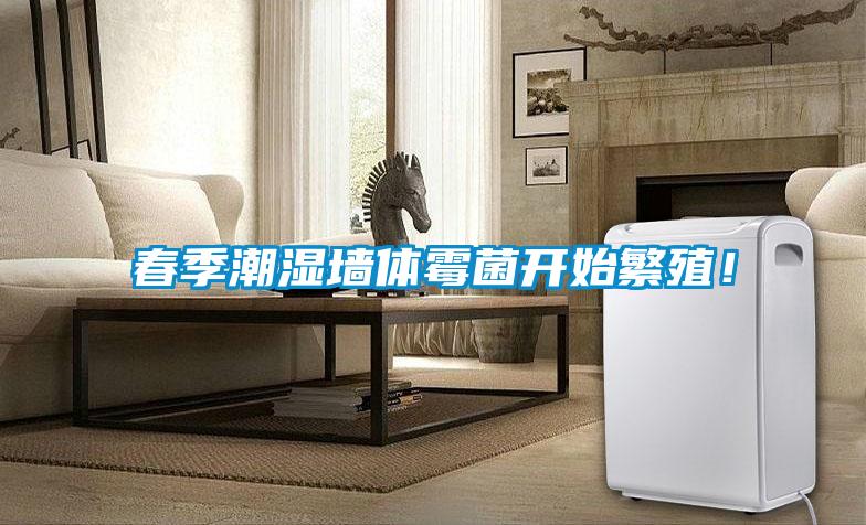 春季潮濕墻體霉菌開始繁殖！