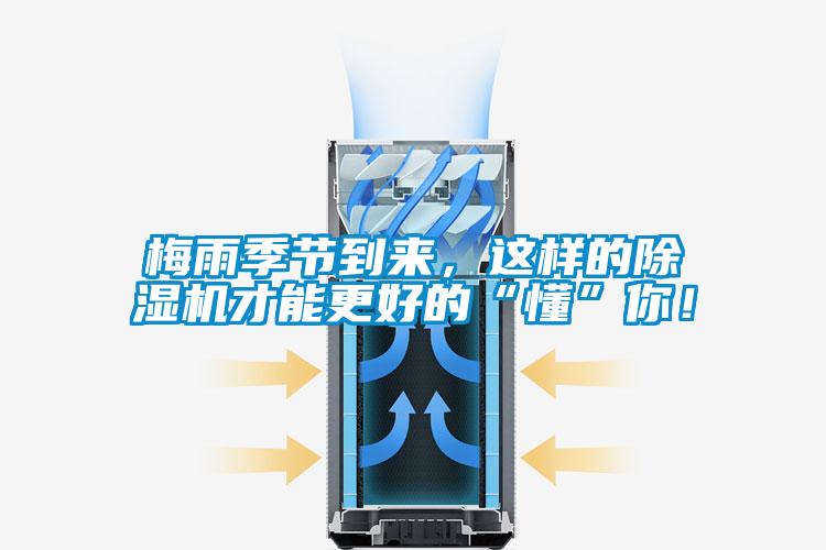 梅雨季節(jié)到來,這樣的除濕機(jī)才能更好的“懂”你!