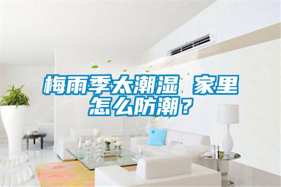 梅雨季太潮濕 家里怎么防潮？