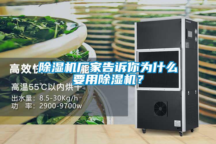 除濕機廠家告訴你為什么要用除濕機？